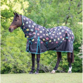 Bridleway V421C Ontario Medium Combo Rug